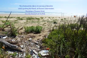 Beach Pollution Art The Jetsam of Man