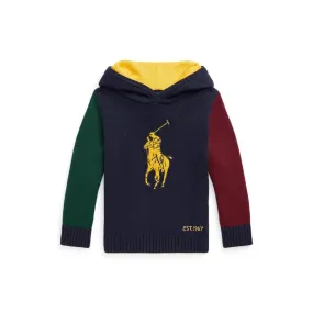 Big Pony Cotton Hooded Sweater (Toddler)