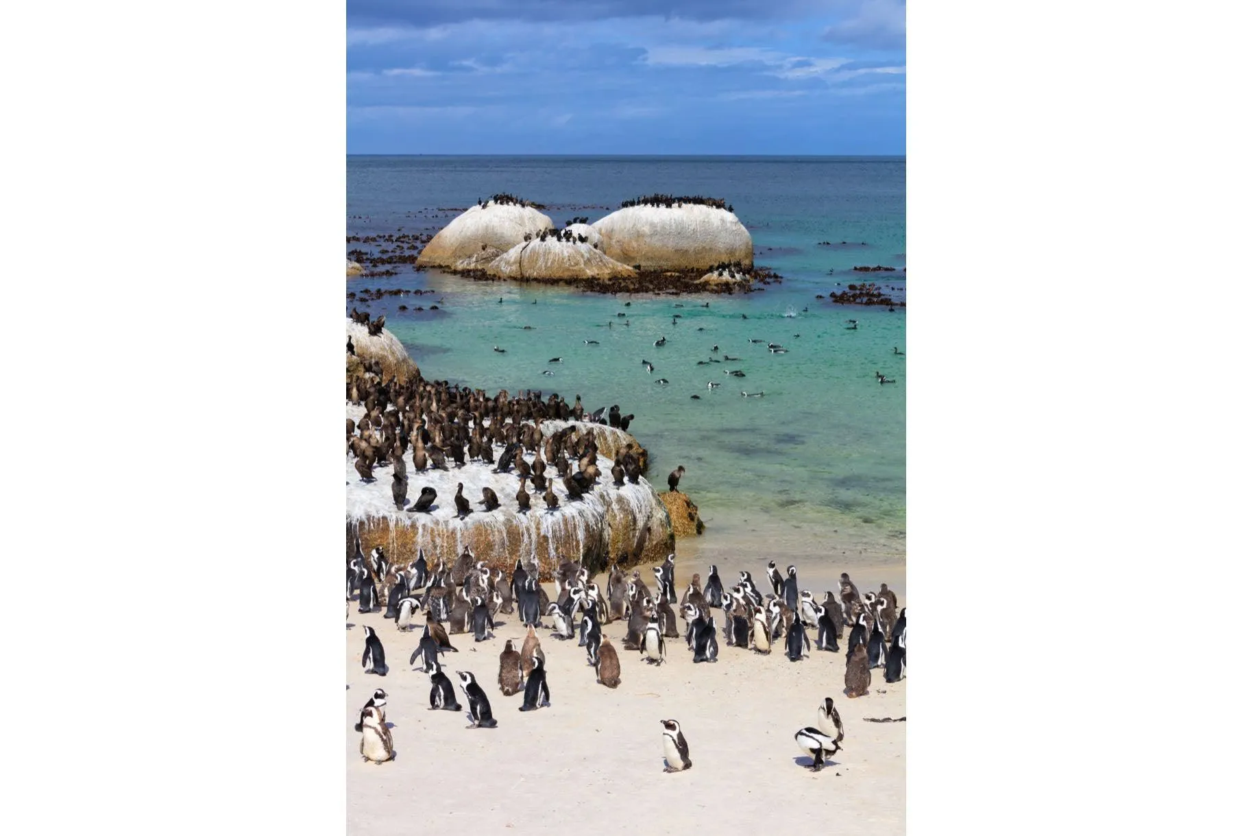 Boulders Beach