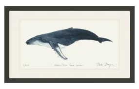 Humpback Whale Print