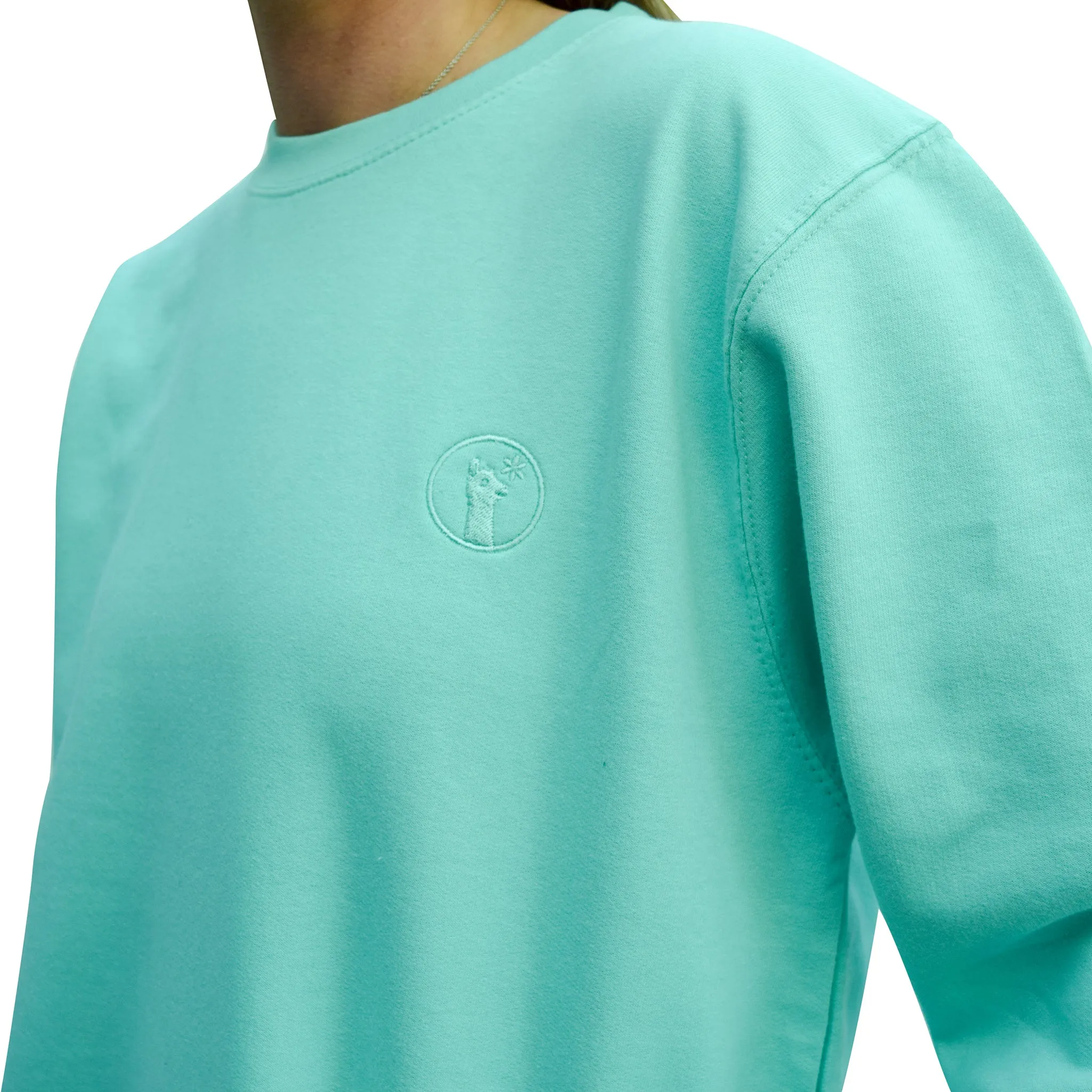 Magnificent Mint Llama Sweatshirt