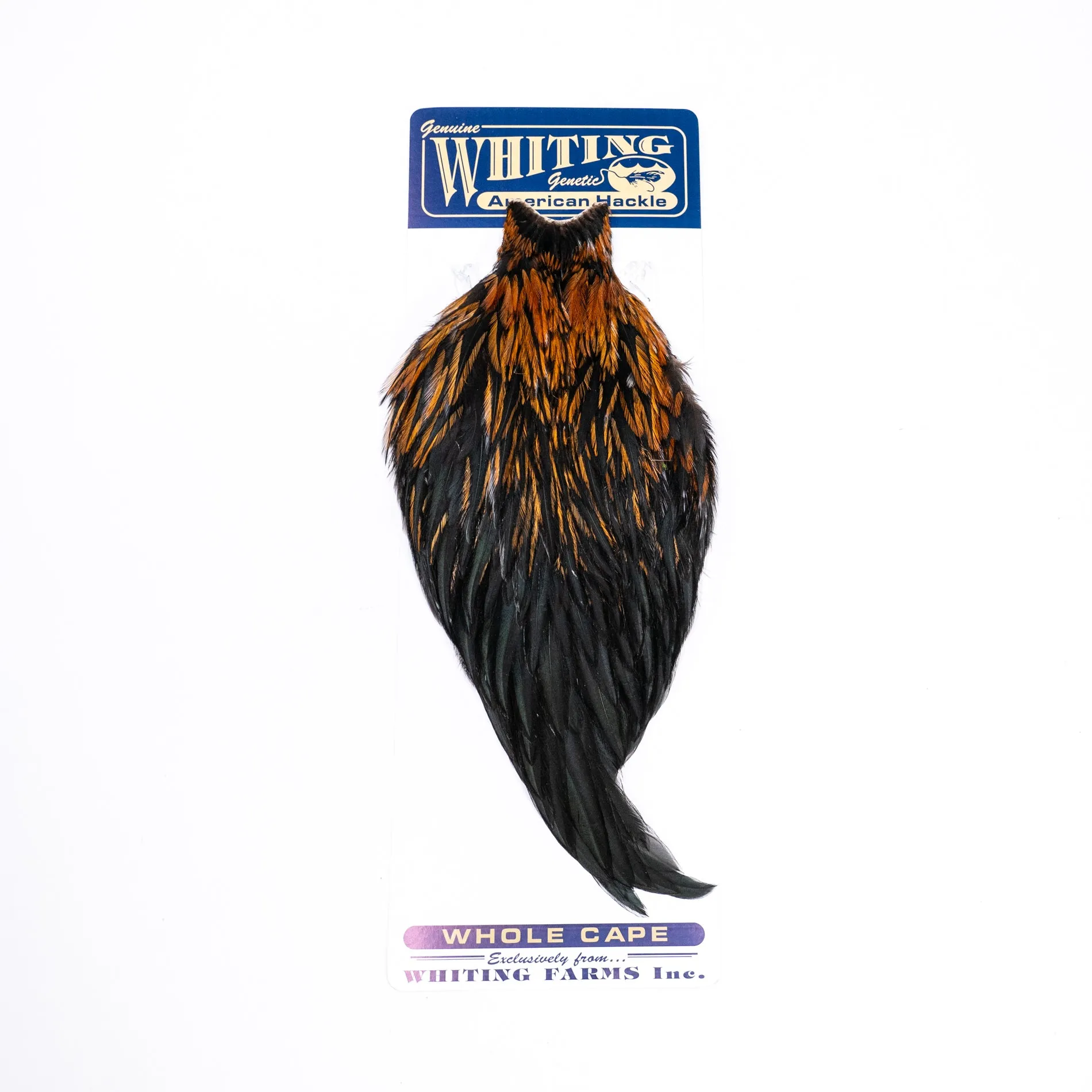 Whiting American Rooster Cape