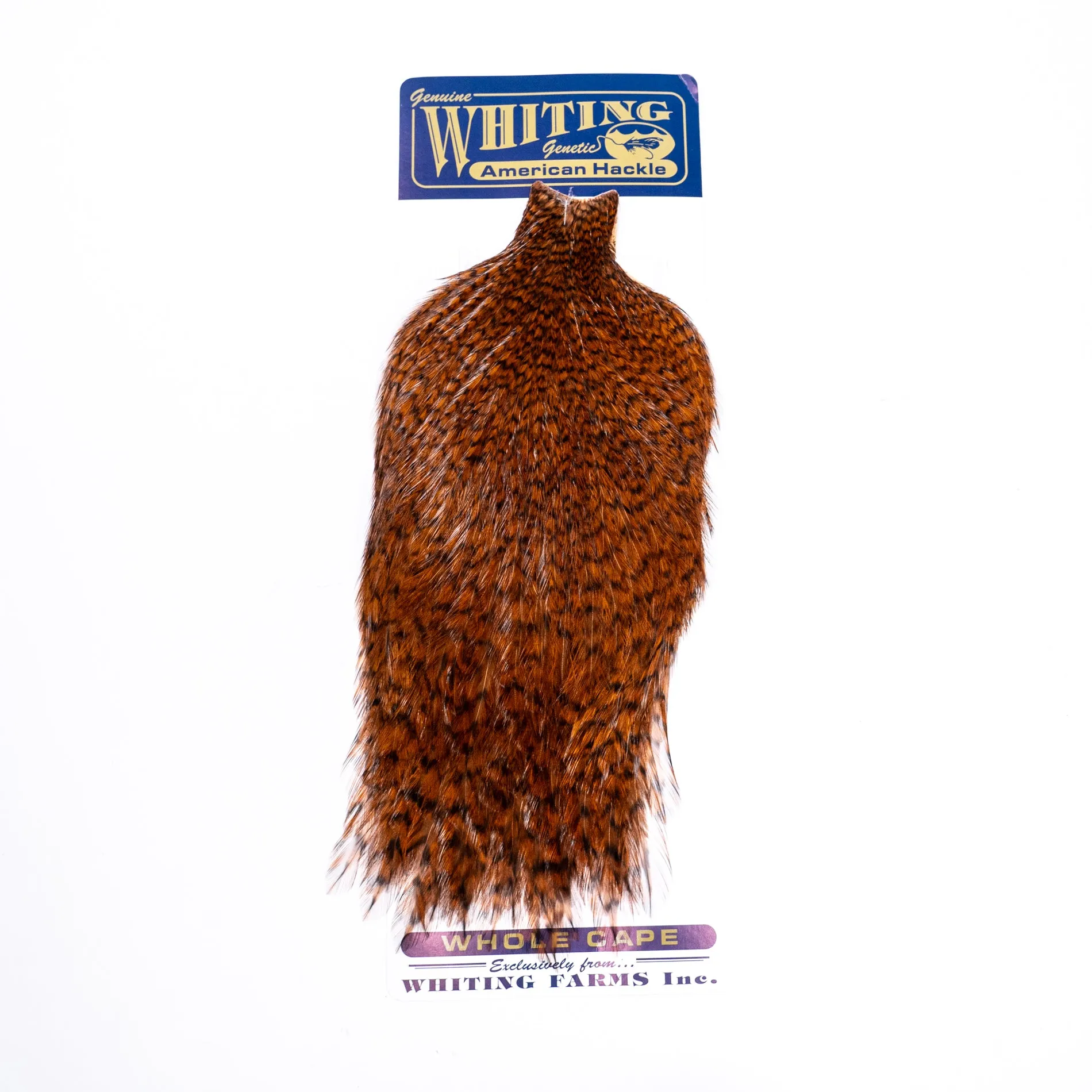 Whiting American Rooster Cape