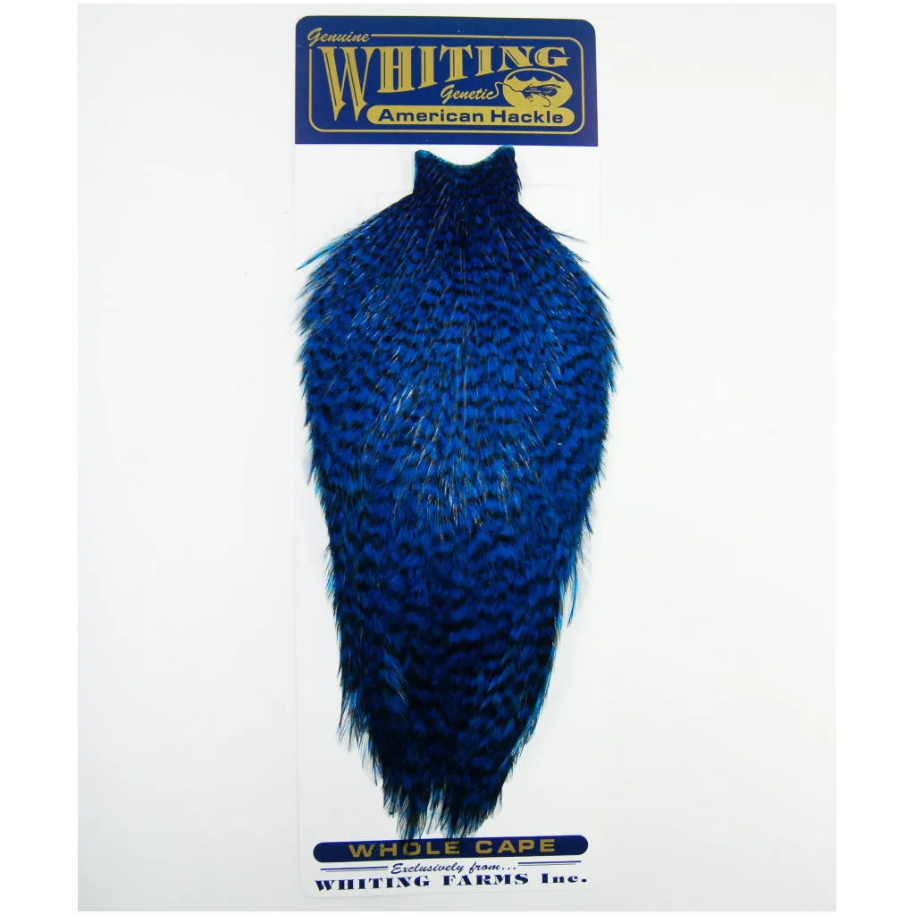 Whiting American Rooster Cape