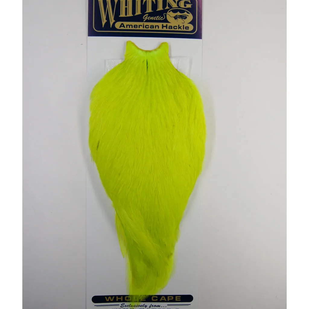 Whiting American Rooster Cape