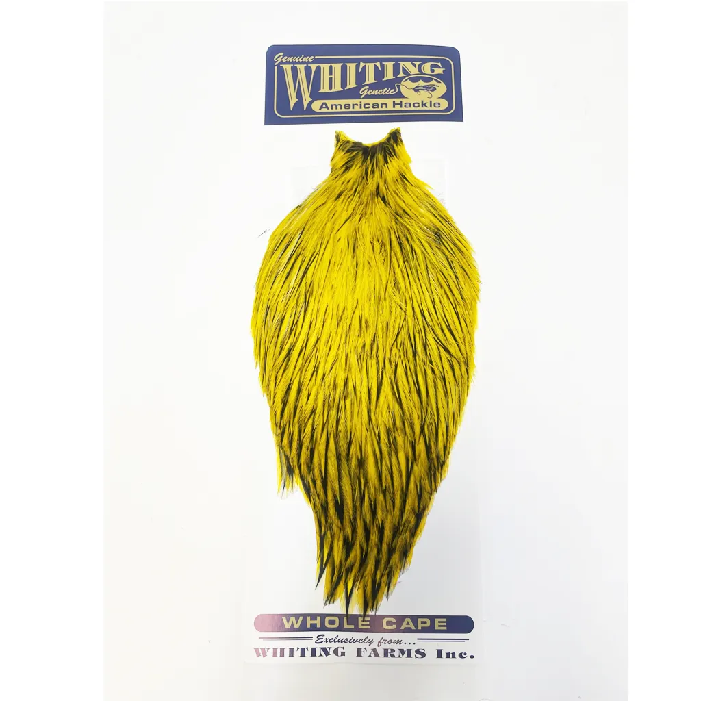 Whiting American Rooster Cape