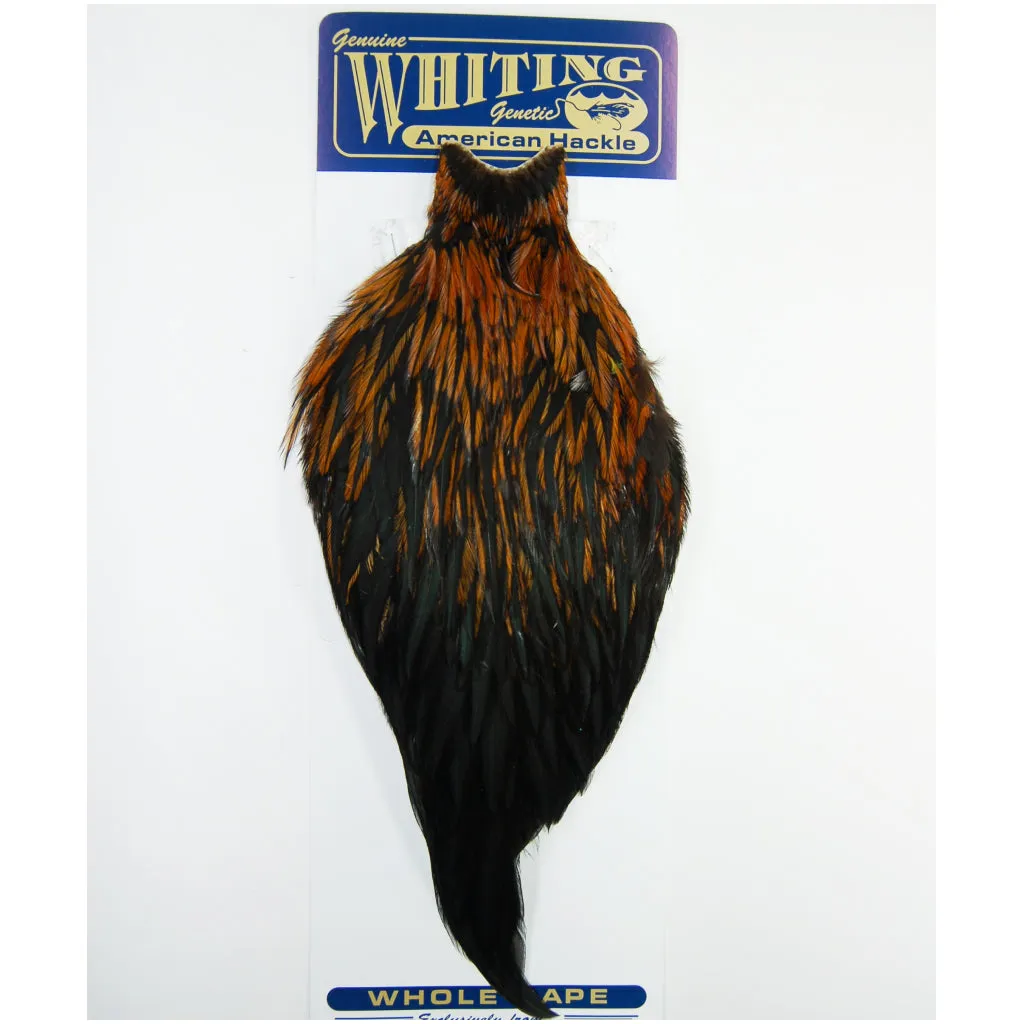 Whiting American Rooster Cape