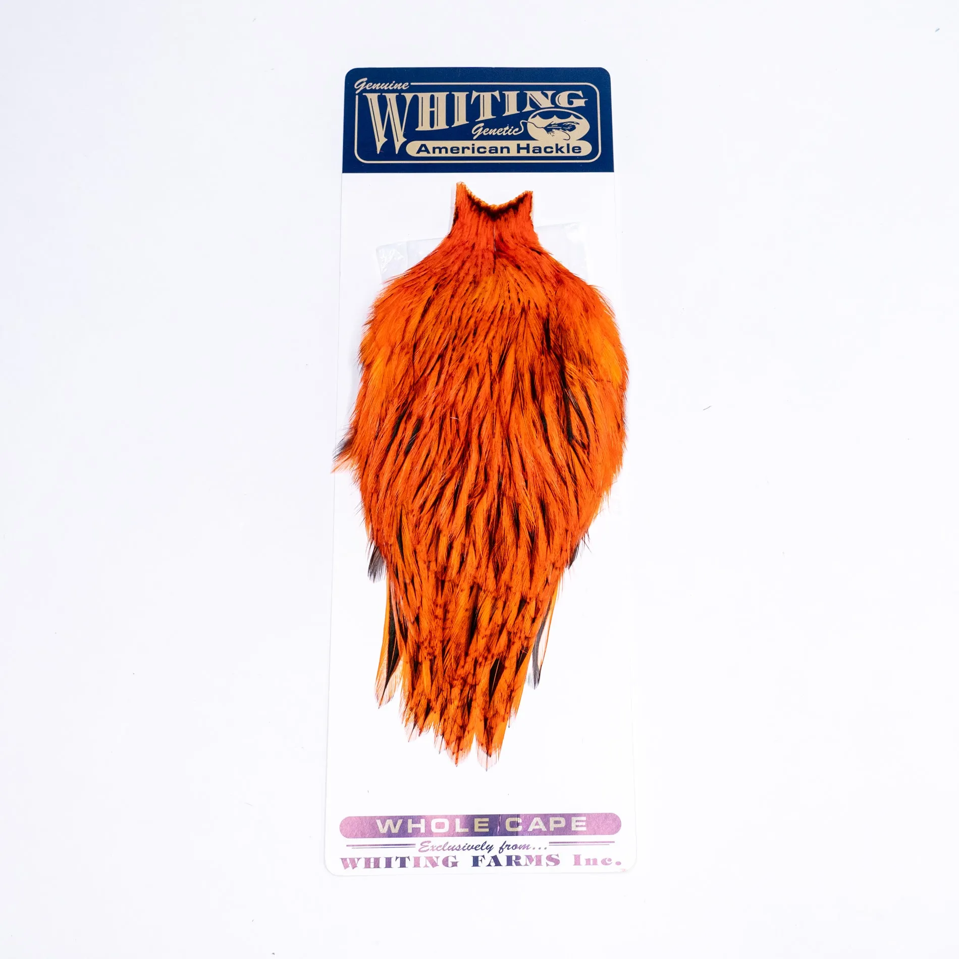 Whiting American Rooster Cape