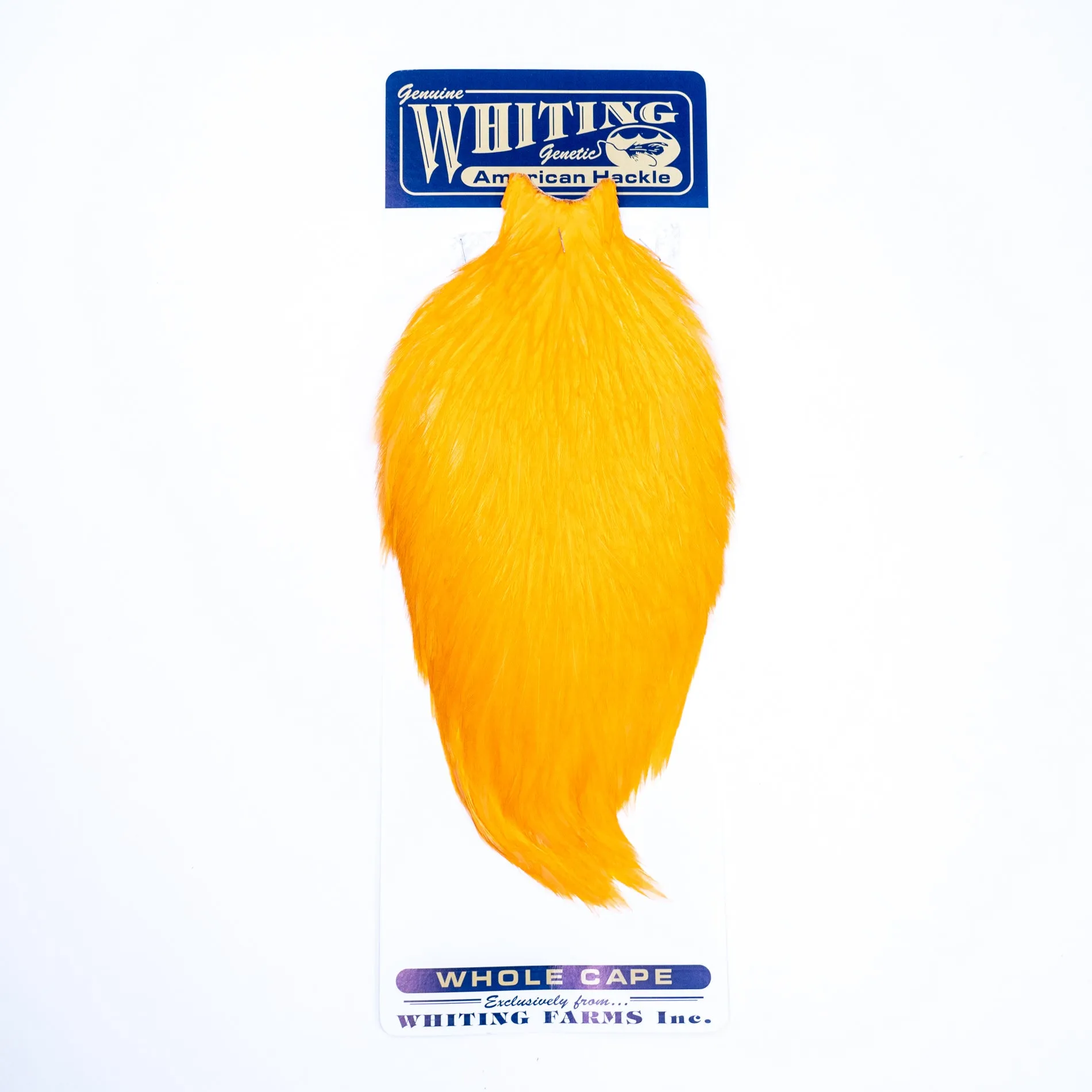 Whiting American Rooster Cape