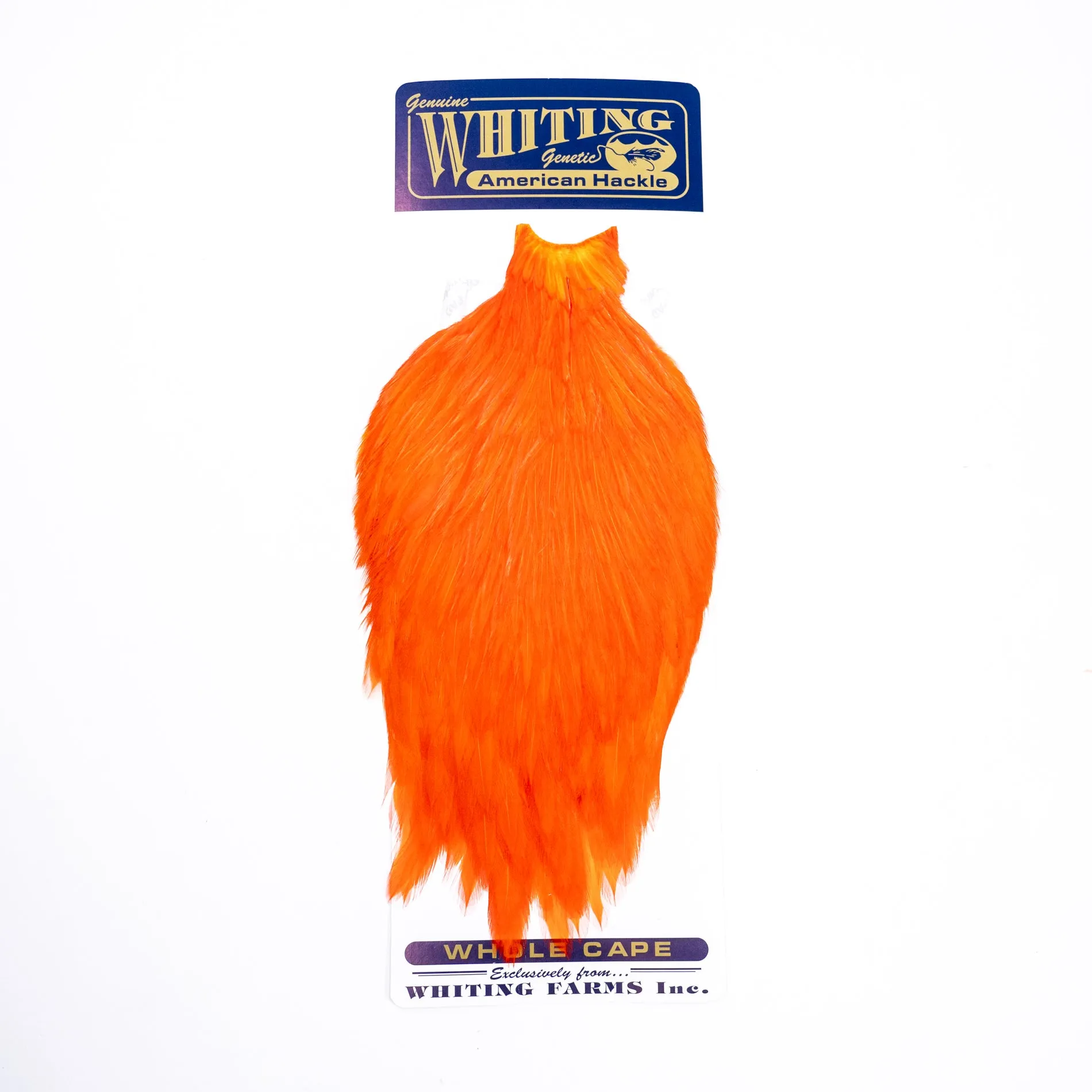 Whiting American Rooster Cape