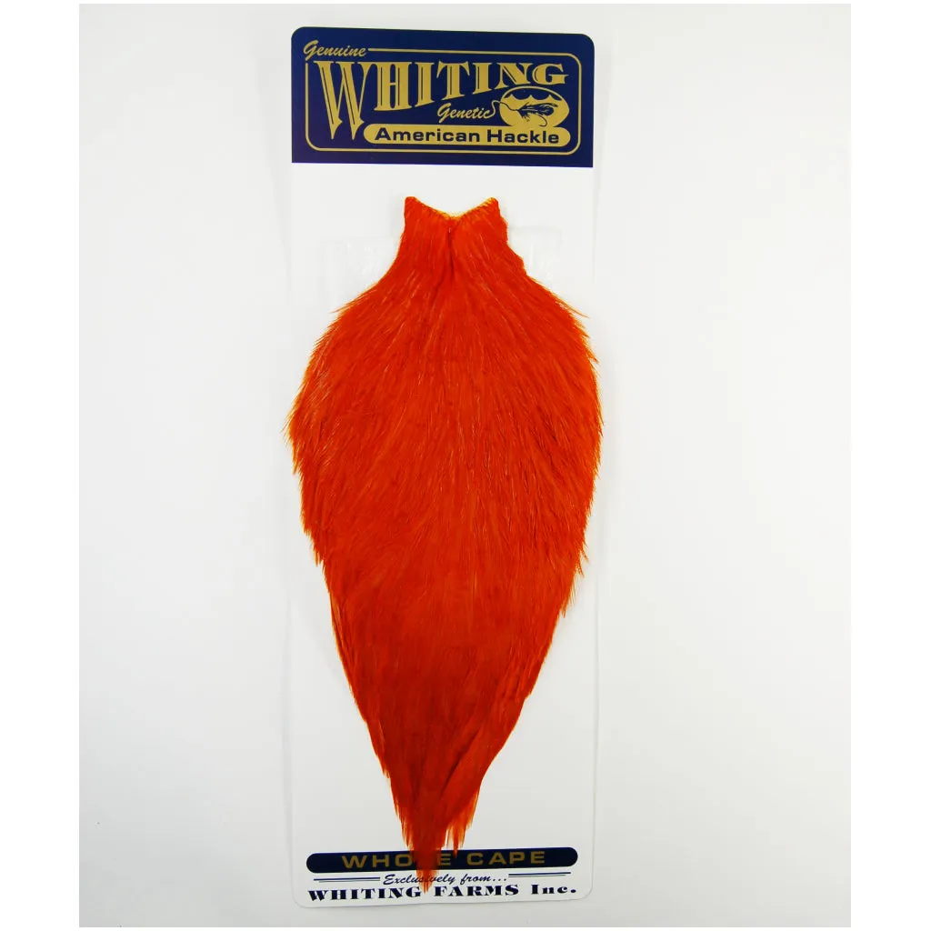 Whiting American Rooster Cape