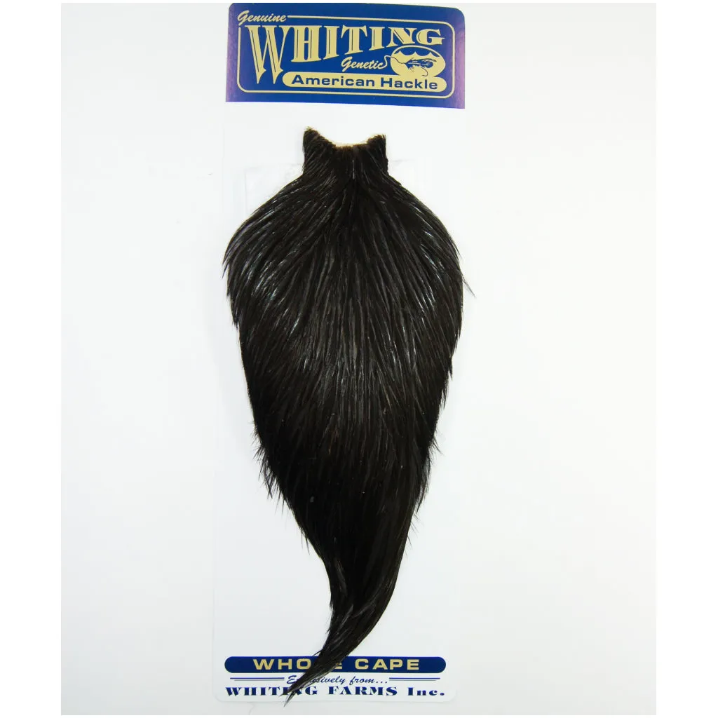 Whiting American Rooster Cape