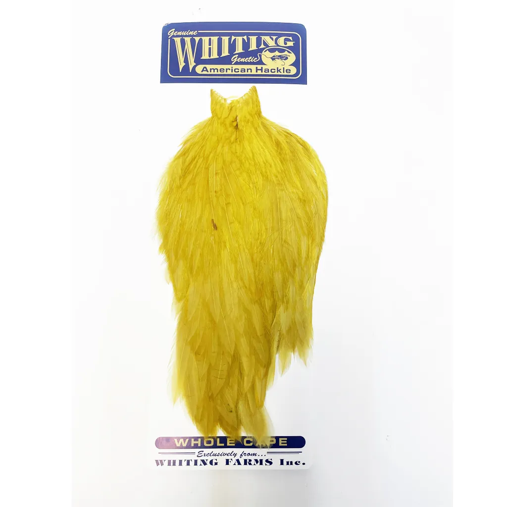 Whiting American Rooster Cape