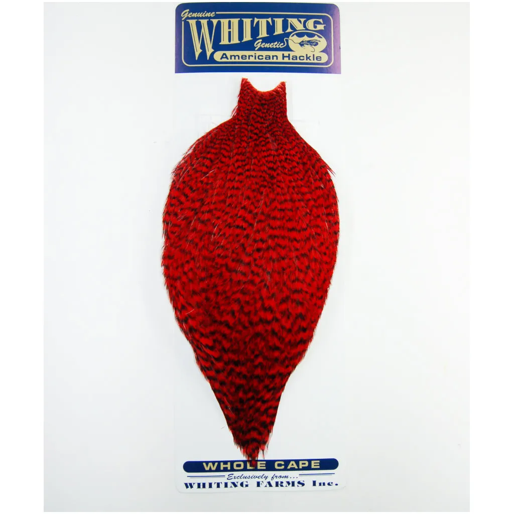 Whiting American Rooster Cape