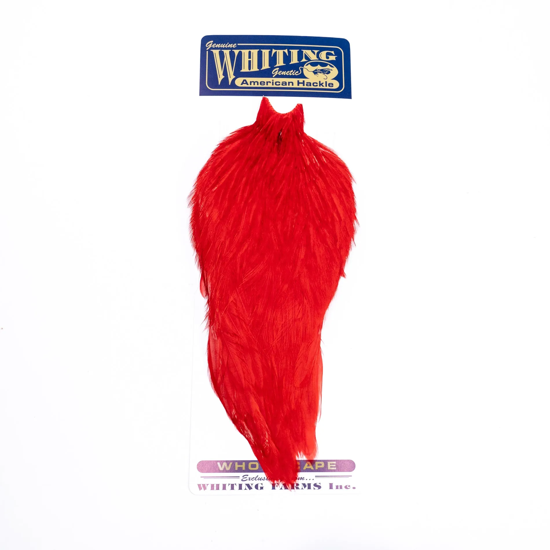 Whiting American Rooster Cape