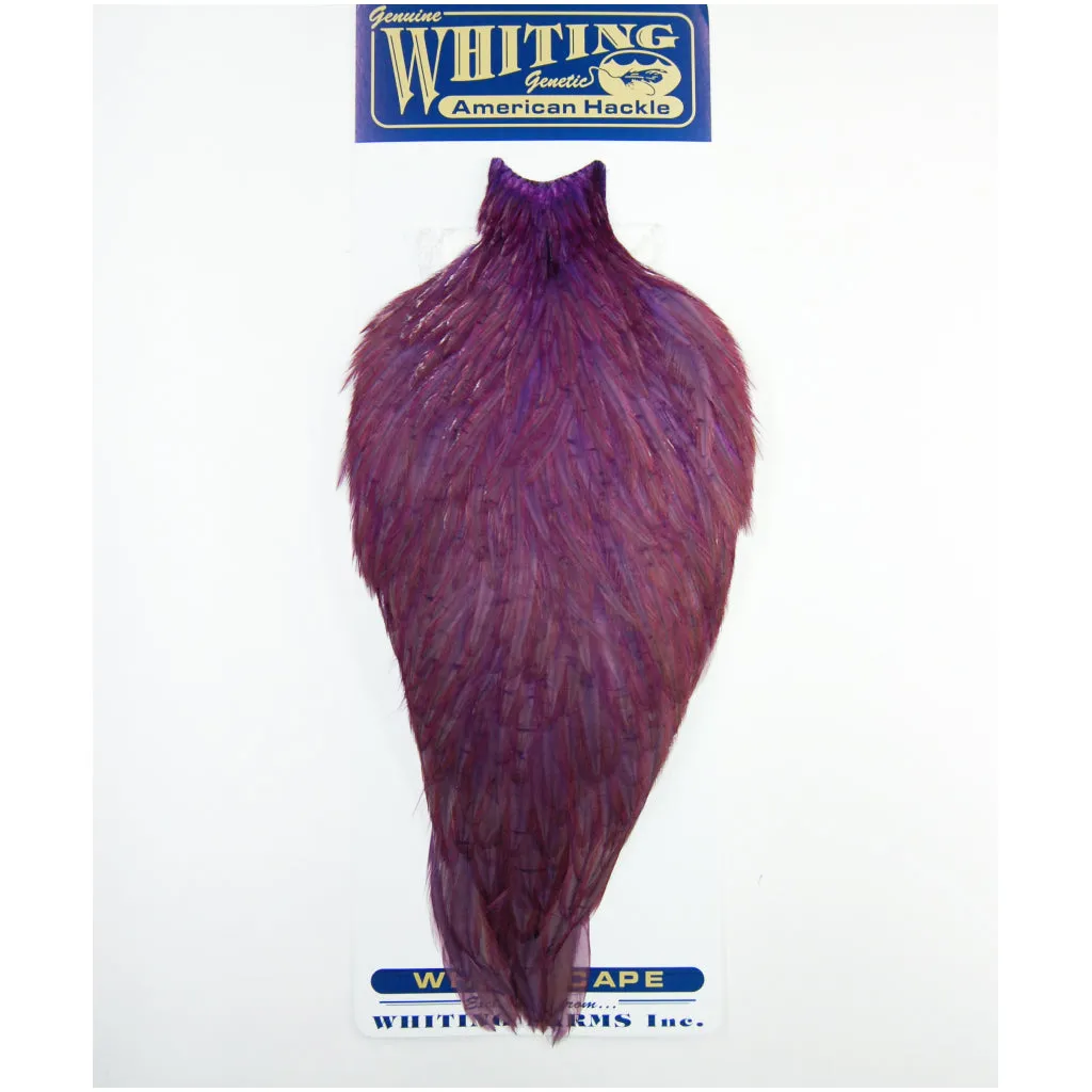 Whiting American Rooster Cape