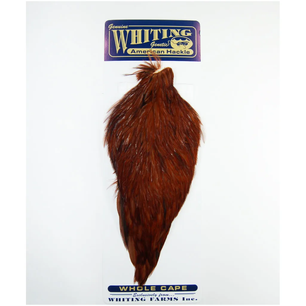 Whiting American Rooster Cape