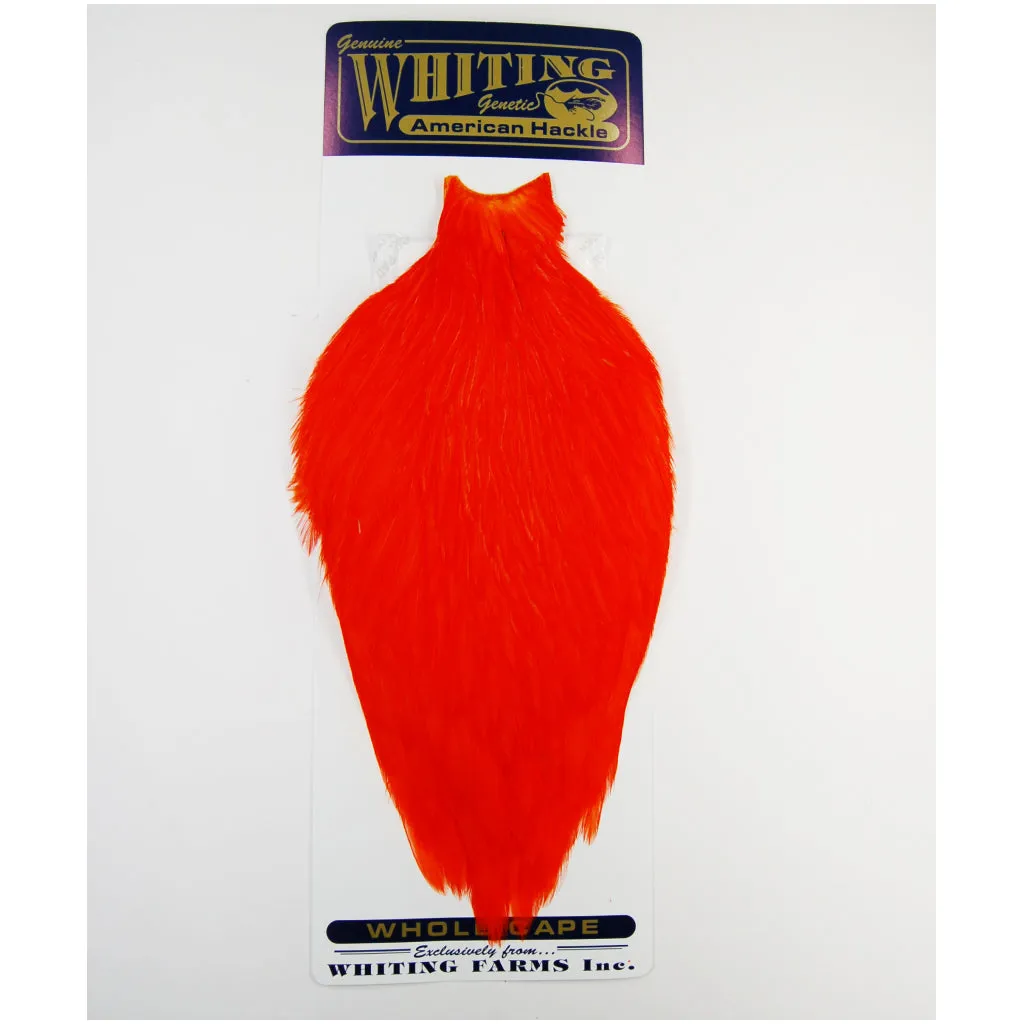 Whiting American Rooster Cape