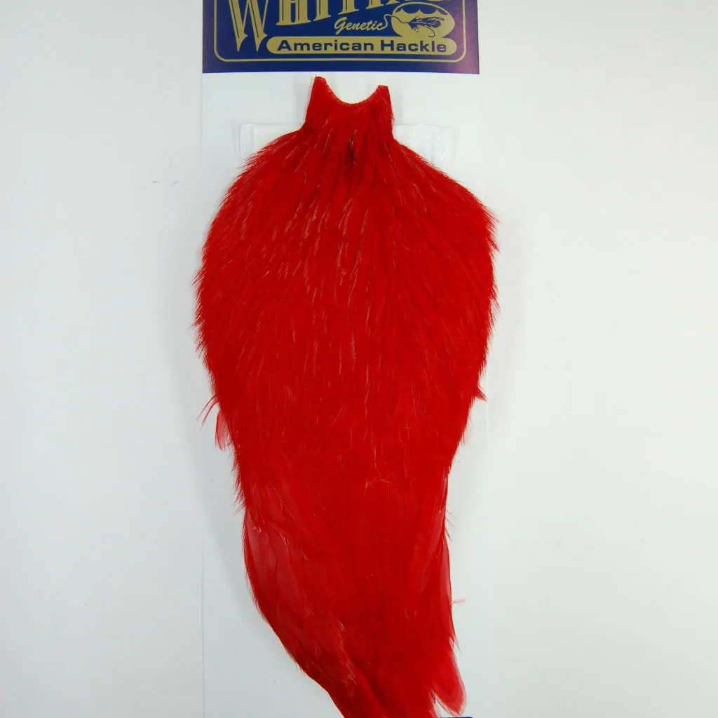 Whiting American Rooster Cape