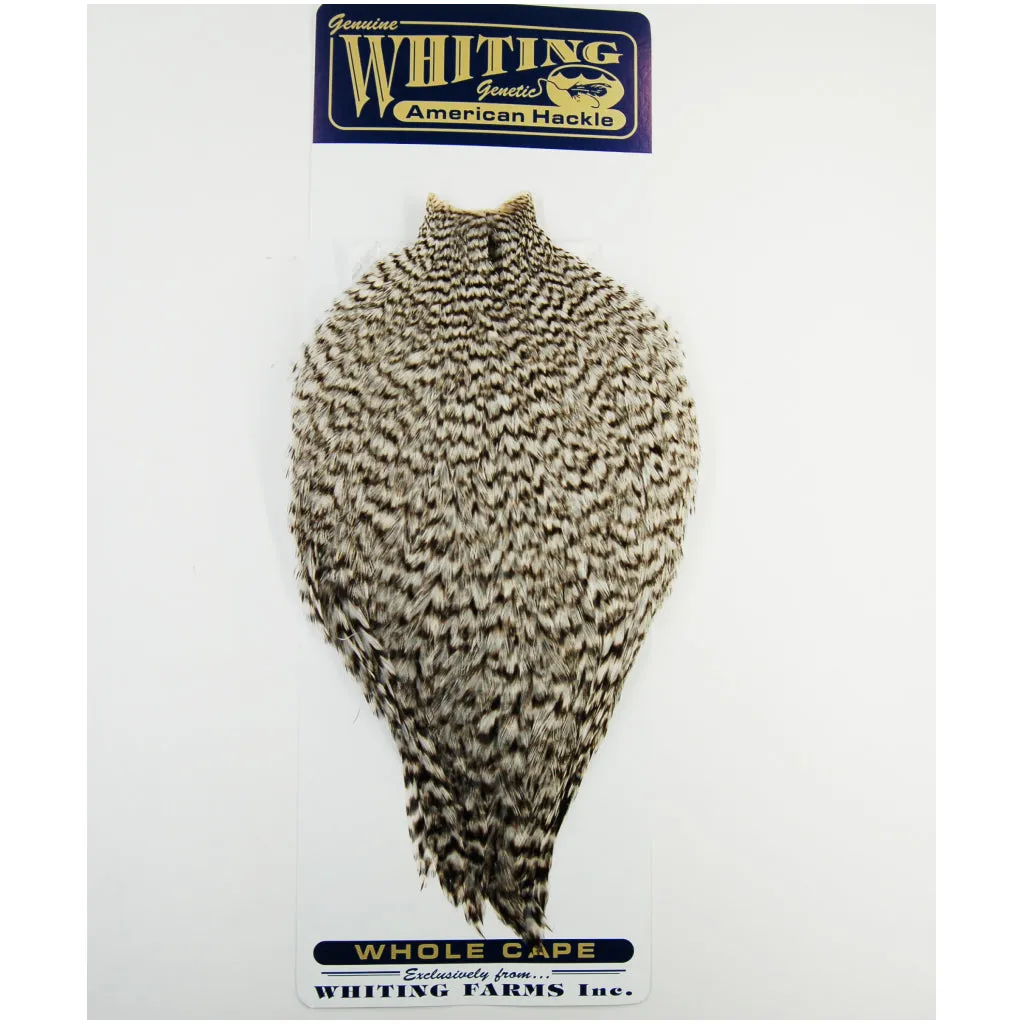 Whiting American Rooster Cape