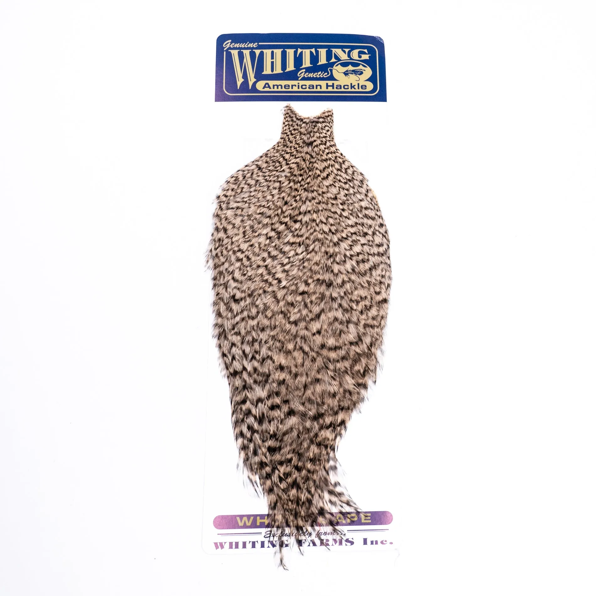 Whiting American Rooster Cape