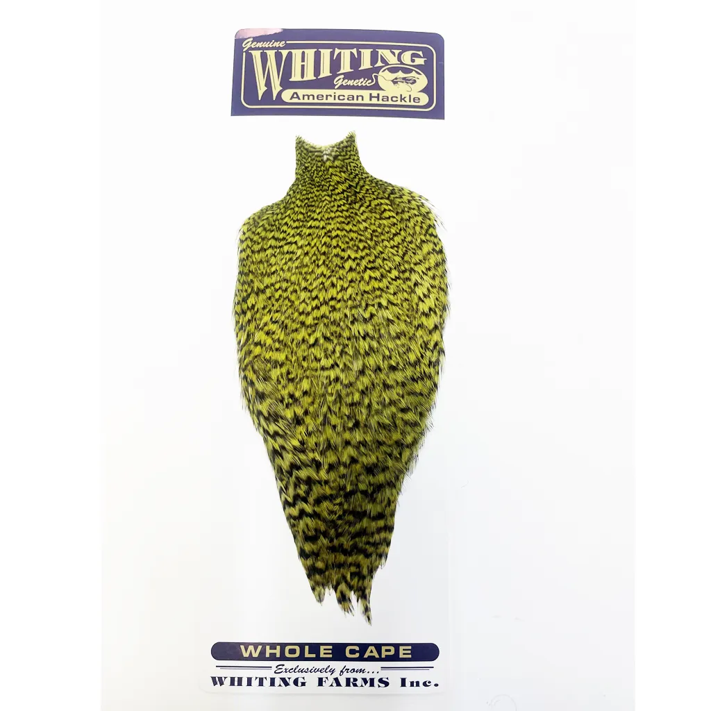 Whiting American Rooster Cape