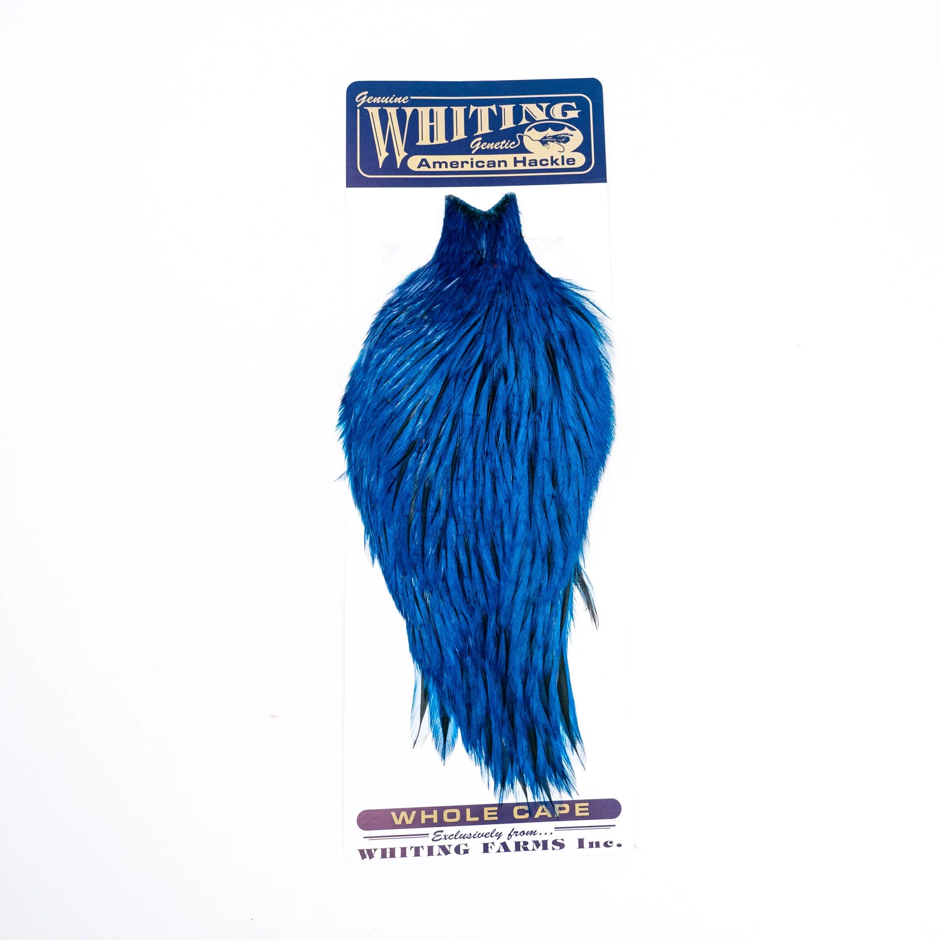 Whiting American Rooster Cape