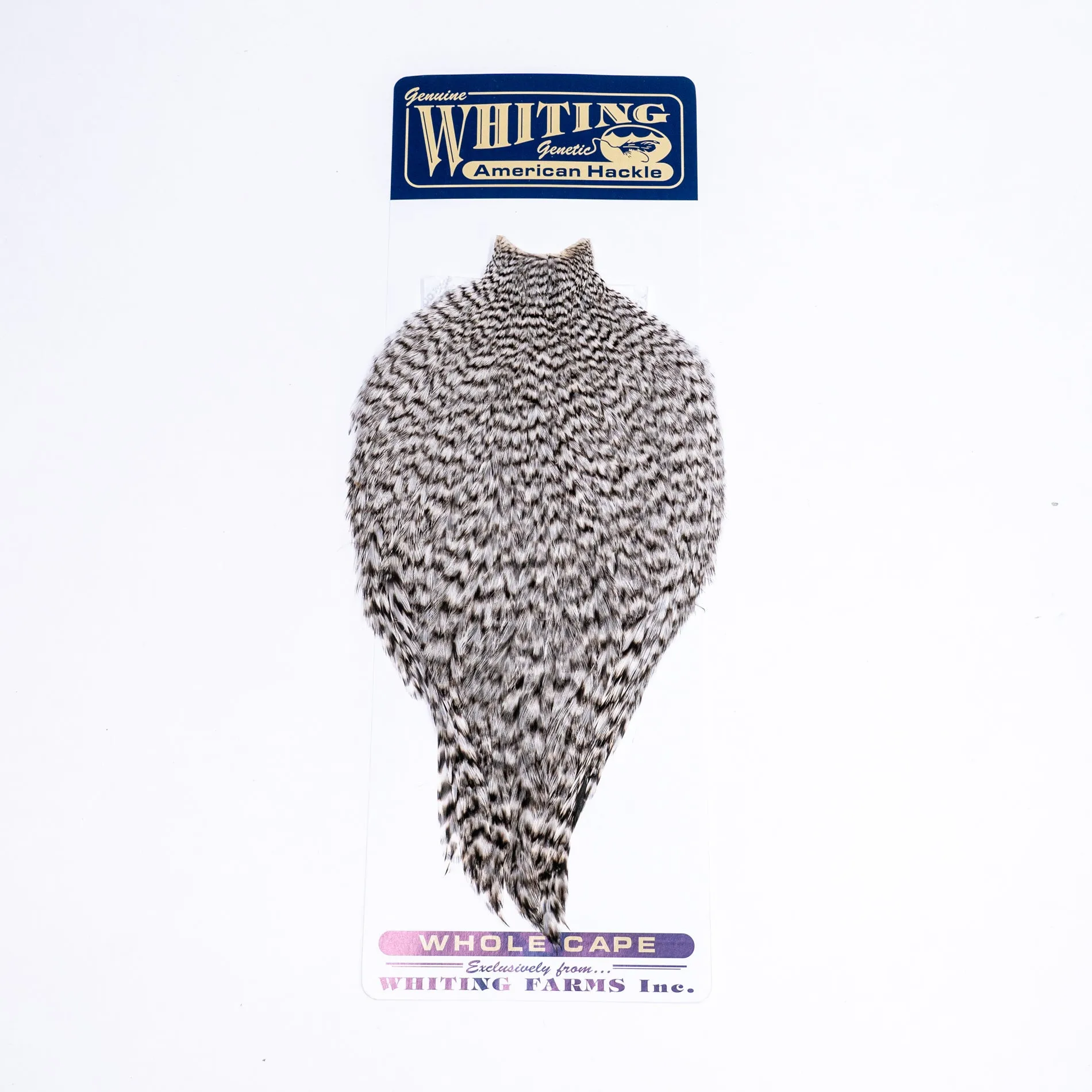 Whiting American Rooster Cape